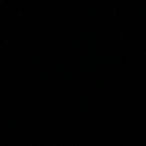 Meet your Posher, Will